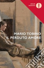 Il perduto amore libro