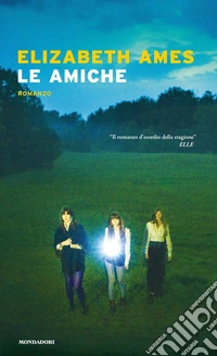 Le amiche libro
