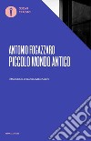 Piccolo mondo antico libro