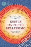 Esiste un posto bellissimo. L'aldilà nelle testimonianze di chi lo ha visto libro