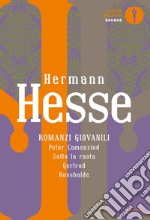 Romanzi giovanili: Peter Camenzind-Sotto la ruota-Gertrud-Rosshalde libro