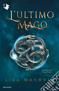 L'ultimo mago libro