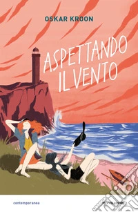 Aspettando il vento libro