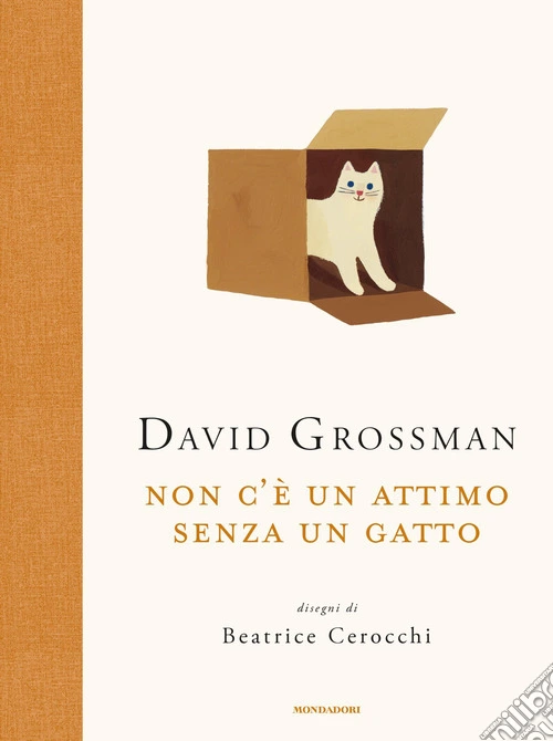 Non c'è un attimo senza un gatto