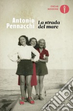 La strada del mare libro