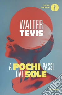 A pochi passi dal sole libro