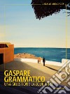 Una questione di equilibrio libro di Grammatico Gaspare