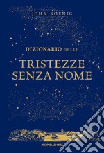 Dizionario delle tristezze senza nome libro