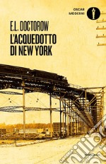 L'acquedotto di New York libro