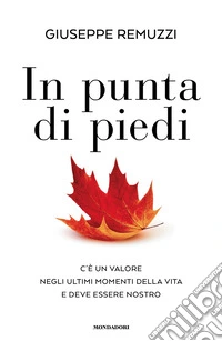 In punta di piedi