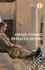 Il perduto amore libro