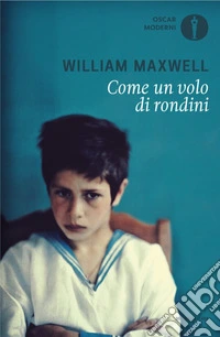 Come un volo di rondini libro