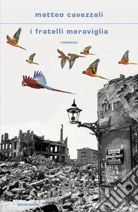 I fratelli Meraviglia libro