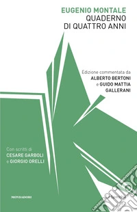 Quaderno di quattro anni libro