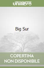 Big Sur libro