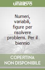 Numeri, variabili, figure per risolvere problemi. Per il biennio (1)