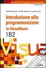 Inroduzione alla programmazione in Visual Basic. V libro