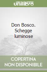 Don Bosco. Schegge luminose libro