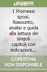 I Promessi sposi. Riassunto, analisi e guida alla lettura dei singoli capitoli con indicazioni sulla compilazione di tesine libro