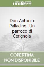 Don Antonio Palladino. Un parroco di Cerignola libro