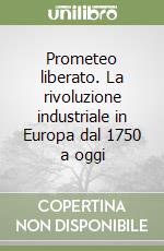 Prometeo liberato. La rivoluzione industriale in Europa dal 1750 a oggi