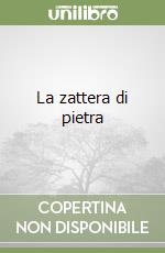 La zattera di pietra libro