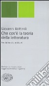 Che cos'è la teoria della letteratura. Fondamenti e problemi libro di Bottiroli Giovanni