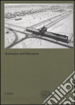 Dizionario dell'Olocausto libro