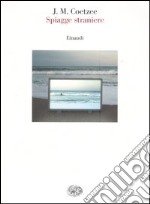 Spiagge straniere. Saggi 1993-1999 libro