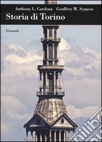 Storia di Torino libro