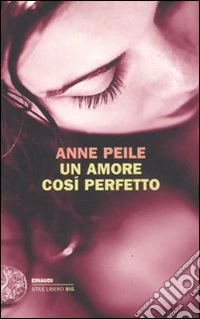 Un amore così perfetto libro