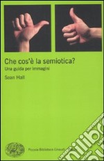 Che cos'è la semiotica? Una guida per immagini. Ediz. illustrata