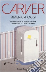 America oggi libro