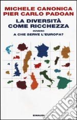 La diversità come ricchezza ovvero a che serve l'Europa?