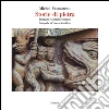 Storie di pietra. Timpani e portali romanici. Ediz. illustrata libro