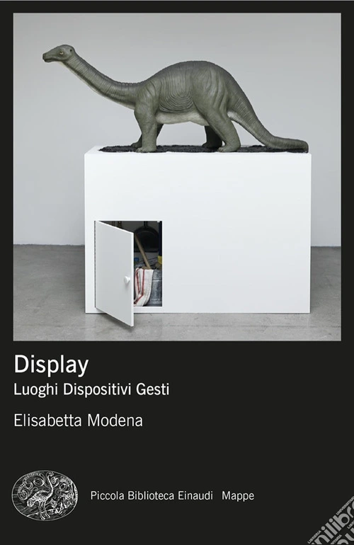 Display. Luoghi, dispositivi, gesti