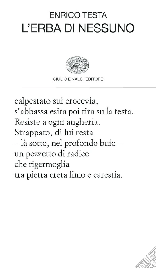 L'erba di nessuno