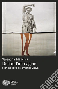Dentro l'immagine. Il primo libro di semiotica visiva libro