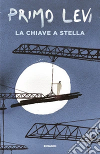 La chiave a stella libro