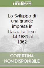 Lo Sviluppo di una grande impresa in Italia. La Terni dal 1884 al 1962 libro