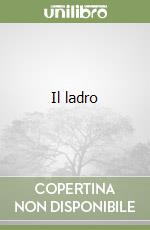 Il ladro libro