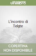 L'incontro di Telgte libro