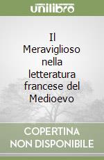 Il Meraviglioso nella letteratura francese del Medioevo libro