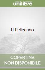 Il Pellegrino libro