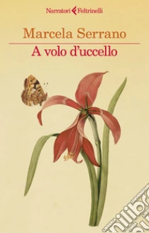 A volo d'uccello
