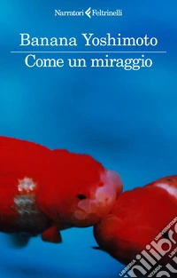 Come un miraggio libro
