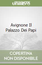 Avignone Il Palazzo Dei Papi libro