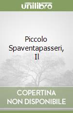 Piccolo Spaventapasseri, Il libro