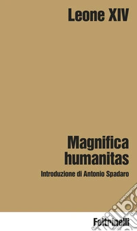 Magnifica humanitas. Lettera Enciclica sulla custodia della persona umana nel tempo dell'intelligenza artificiale