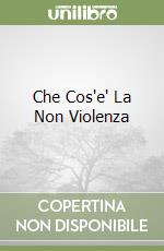 Che Cos'e' La Non Violenza libro